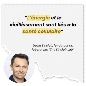 davidsinclair
