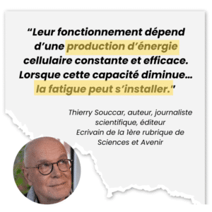 preuvethierry